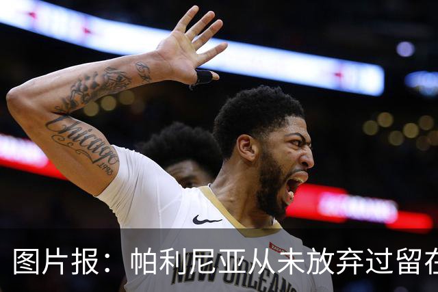 图片报：帕利尼亚从未放弃过留在拜仁的想法，希望为位置而战